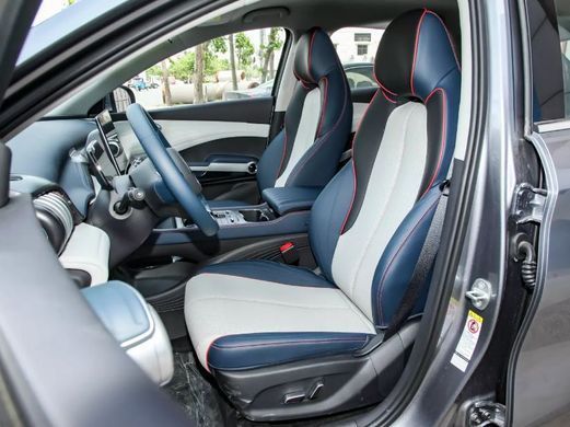 Електромобіль BYD Yuan Plus Champion TOP Grey (у дорозі)
